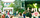 Crêpes Company: Crêpes-Foodtruck